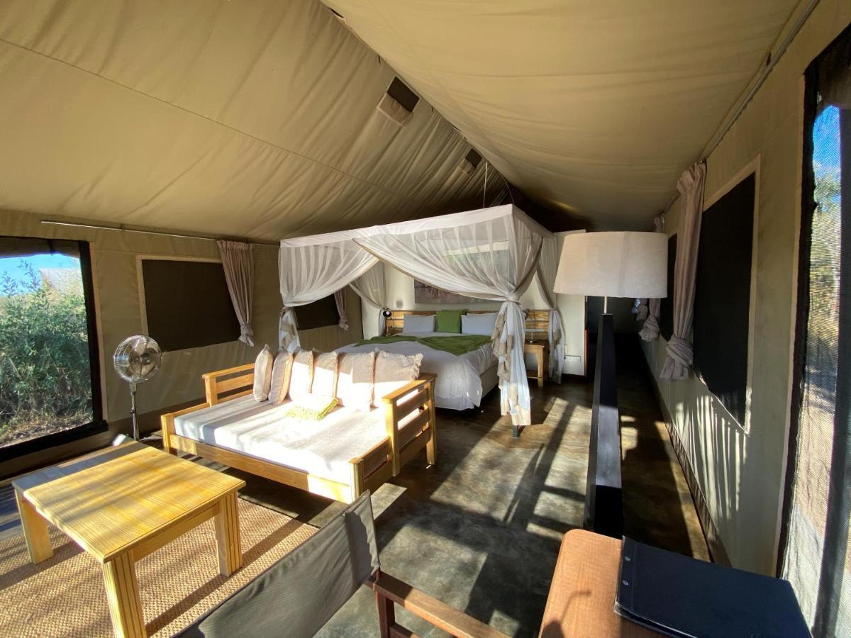 Honeyguide Tented Safari Camp - Khoka Moya Manyeleti Game Reserve Bagian luar foto