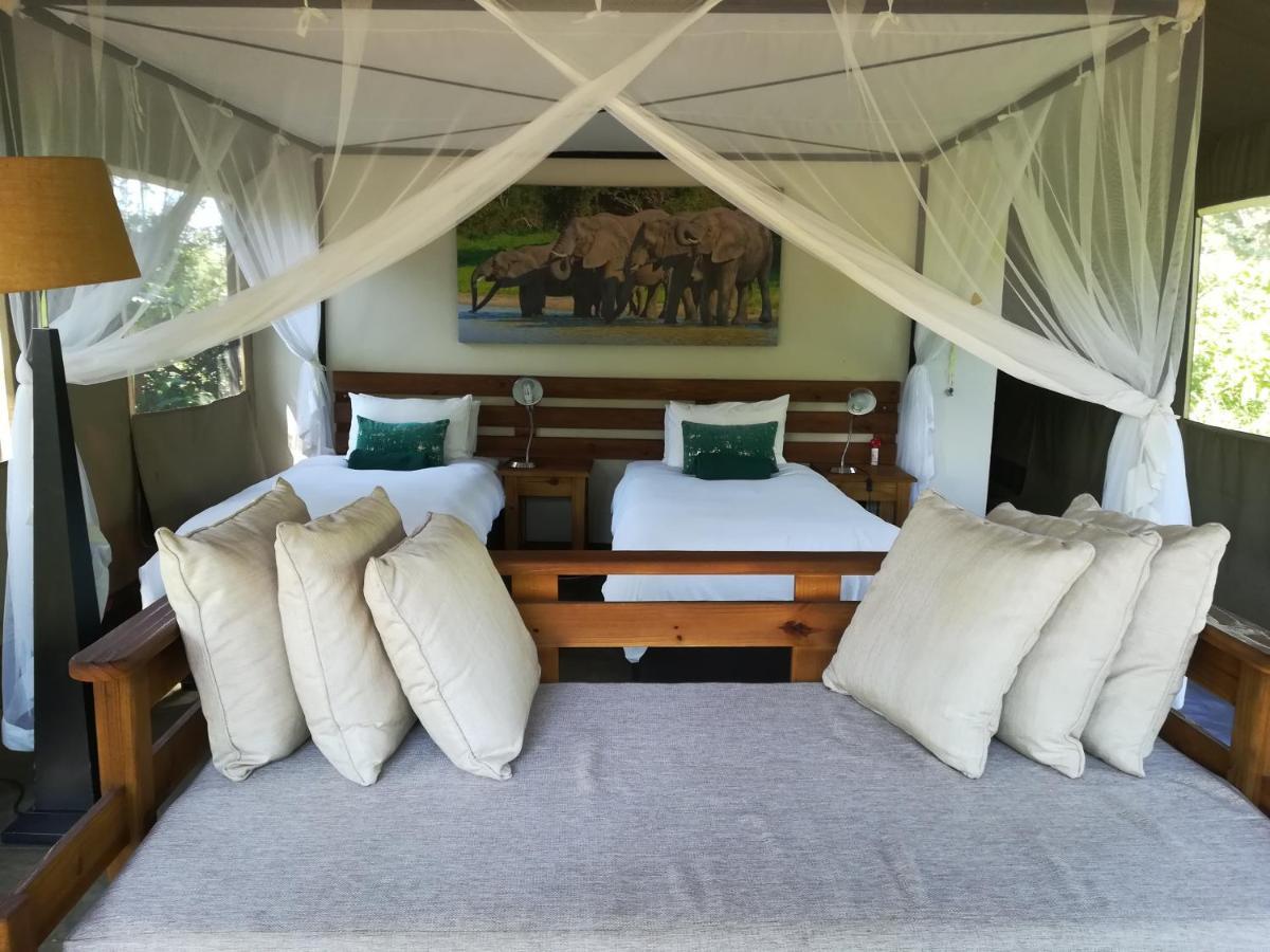 Honeyguide Tented Safari Camp - Khoka Moya Manyeleti Game Reserve Bagian luar foto