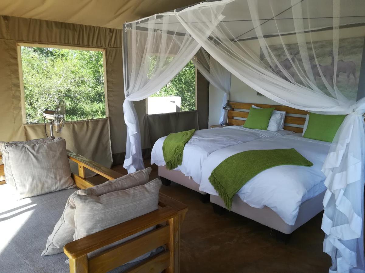Honeyguide Tented Safari Camp - Khoka Moya Manyeleti Game Reserve Bagian luar foto