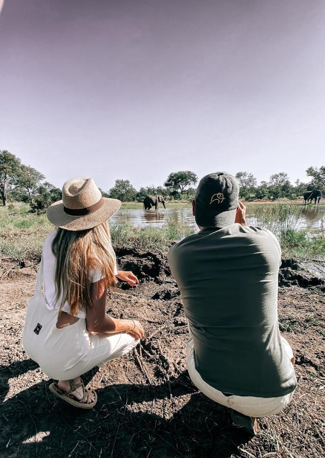 Honeyguide Tented Safari Camp - Khoka Moya Manyeleti Game Reserve Bagian luar foto