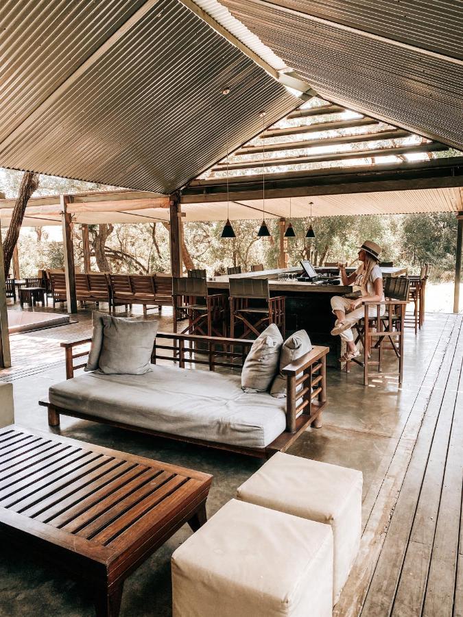 Honeyguide Tented Safari Camp - Khoka Moya Manyeleti Game Reserve Bagian luar foto