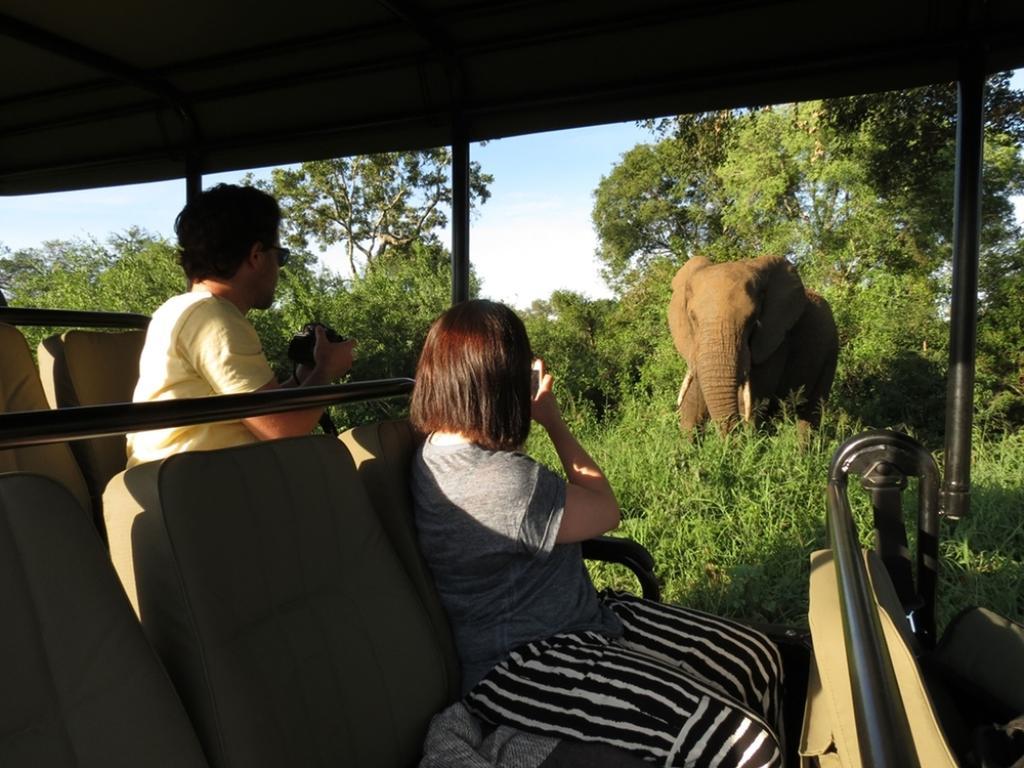 Honeyguide Tented Safari Camp - Khoka Moya Manyeleti Game Reserve Bagian luar foto