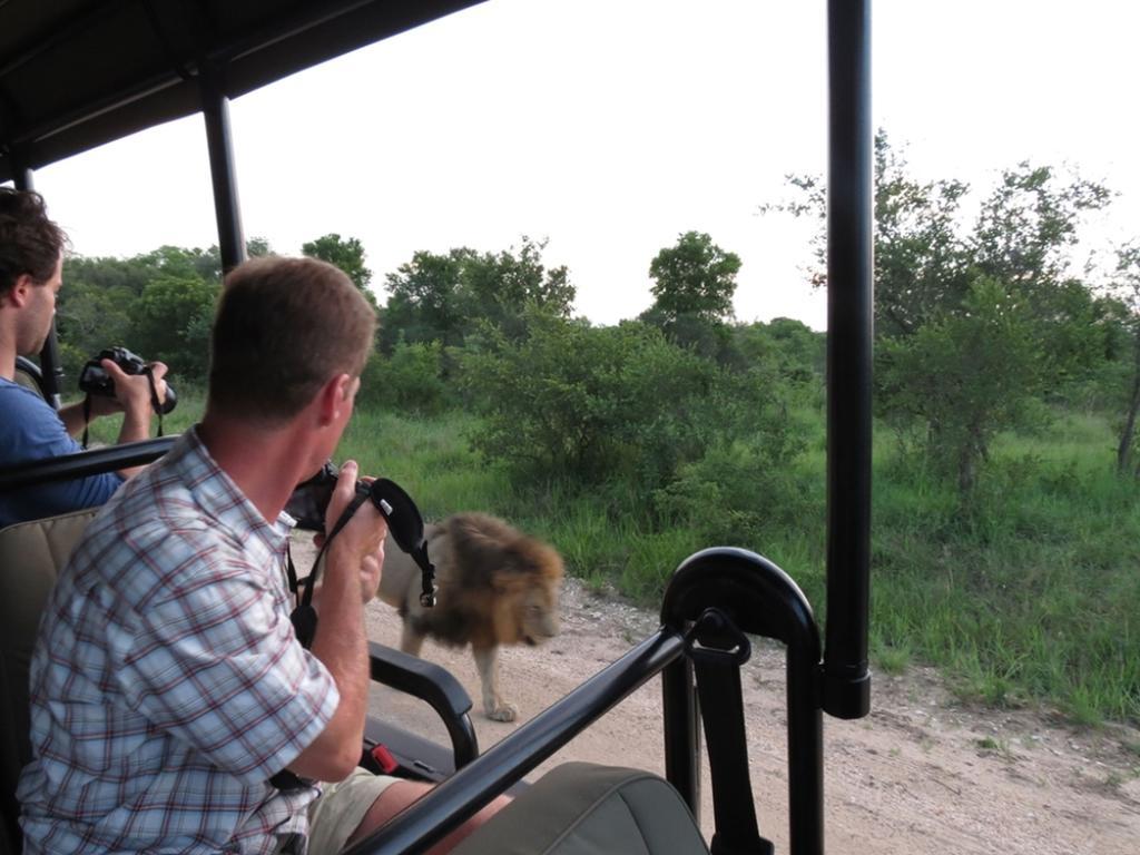 Honeyguide Tented Safari Camp - Khoka Moya Manyeleti Game Reserve Bagian luar foto