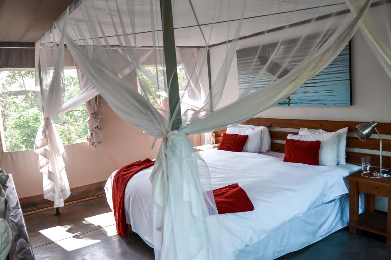 Honeyguide Tented Safari Camp - Khoka Moya Manyeleti Game Reserve Bagian luar foto